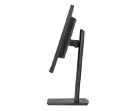 IIYAMA ProLite XUB2497HSU-B2 - 1284774 - zdjęcie 9